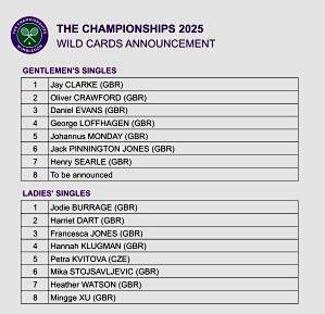 瑞士队遗憾出局，虎头蛇尾