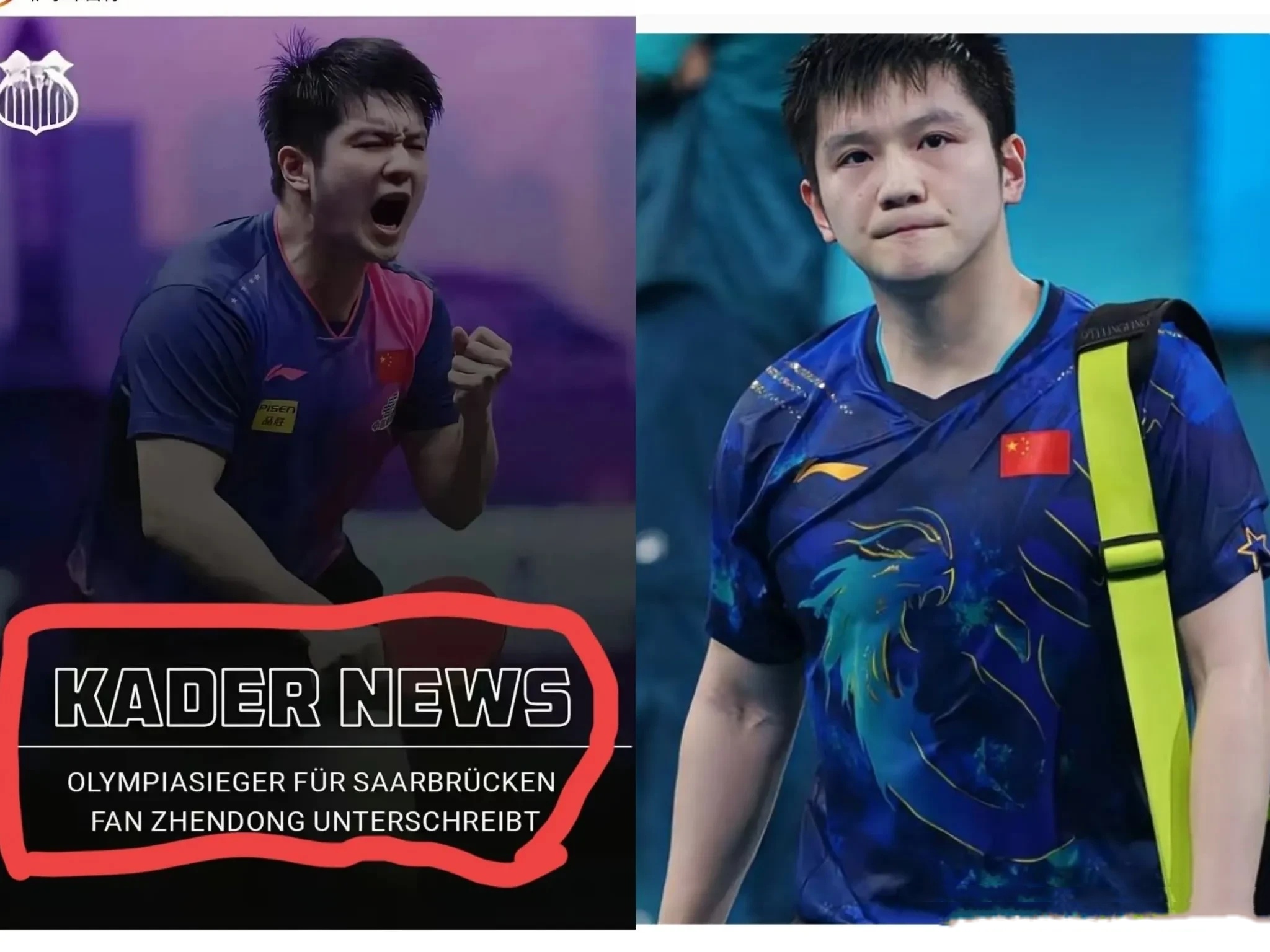 德国队鏖战日本队，樊振东关键制胜