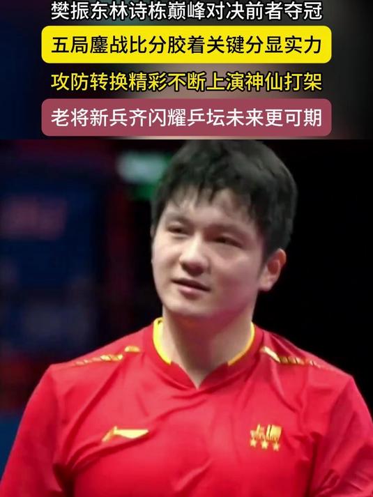 德国队鏖战日本队，樊振东关键制胜